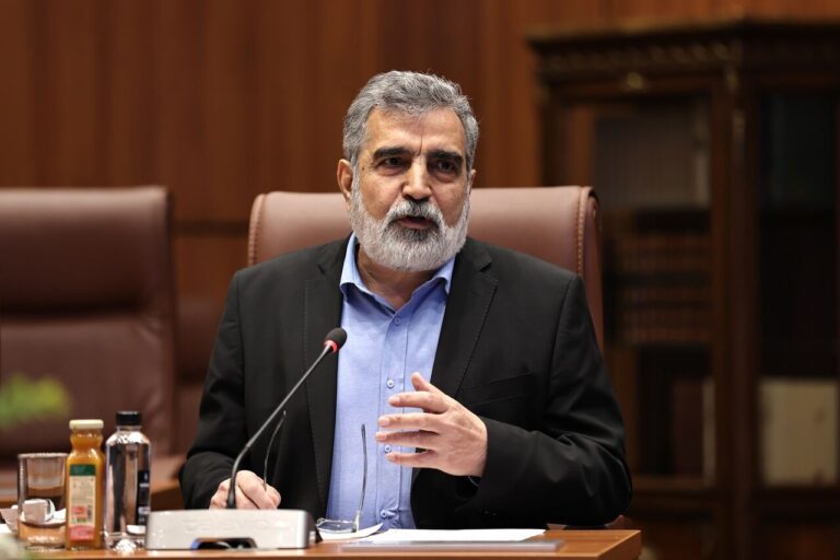 ایران تنها کشوری نیست که اورانیوم را غنی‌سازی می‌کند بدون داشتن تسلیحات هسته‌ای: مقام رسمی