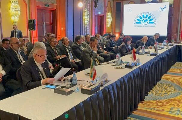 ایران در نشست D-8 قاهره، نقشه‌راه استراتژیک گردشگری را پیشنهاد کرد