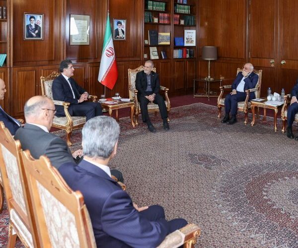 ایرانی‌ها مردم کردستان عراق را برادران خود می‌دانند: رئیس‌جمهور پزشکian