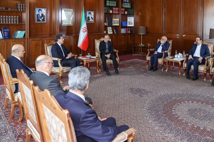 ایرانی‌ها مردم کردستان عراق را برادران خود می‌دانند: رئیس‌جمهور پزشکian