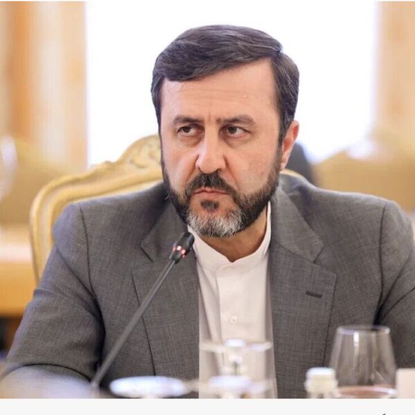 تحریم‌ها مردم را از دسترسی به خدمات پزشکی مناسب محروم کرده‌اند: معاون وزیر امور خارجه