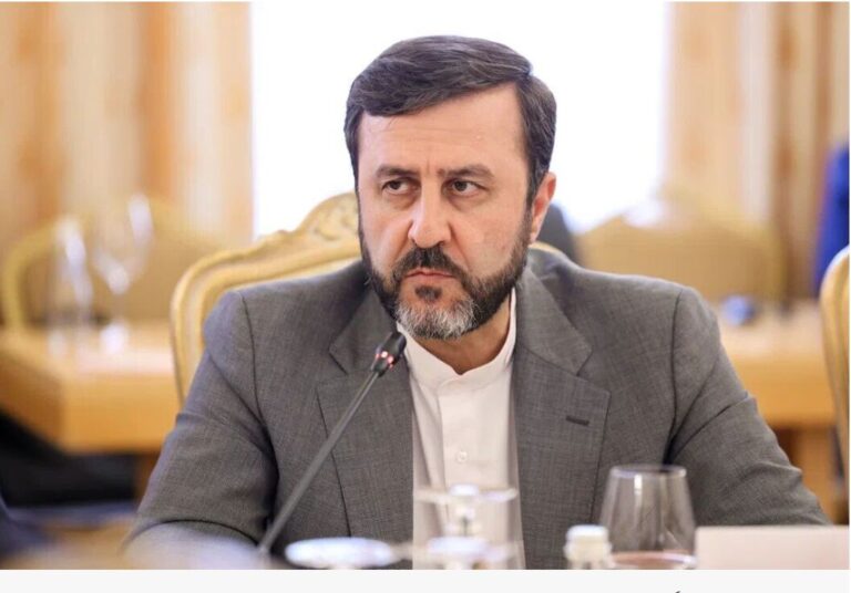 تحریم‌ها مردم را از دسترسی به خدمات پزشکی مناسب محروم کرده‌اند: معاون وزیر امور خارجه