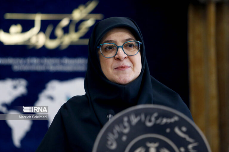 خطوط قرمز ایران در مذاکرات با آمریکا مشخص است: سخنگوی دولت