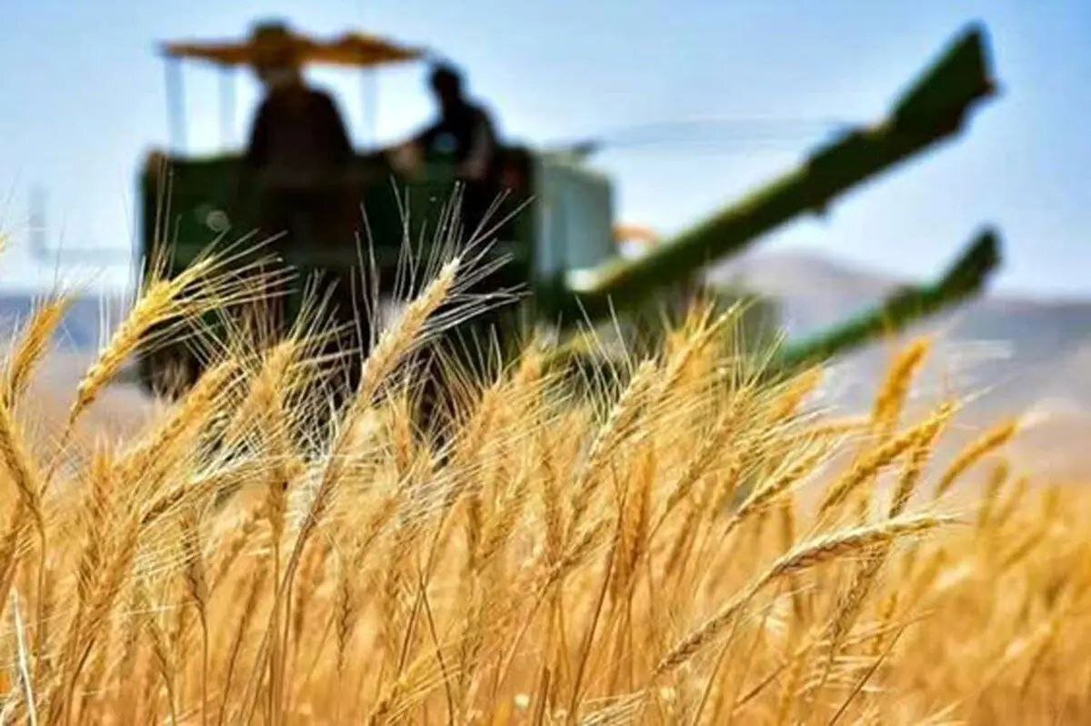 گزارش جدید GIEWS درباره امنیت غذایی در ایران منتشر شد!